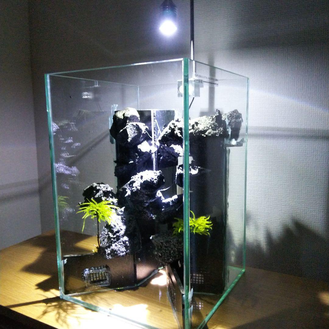 【完成品】滝の流れるアクアテラリウム　イモリウム　苔　　アクアテラリウム完成品