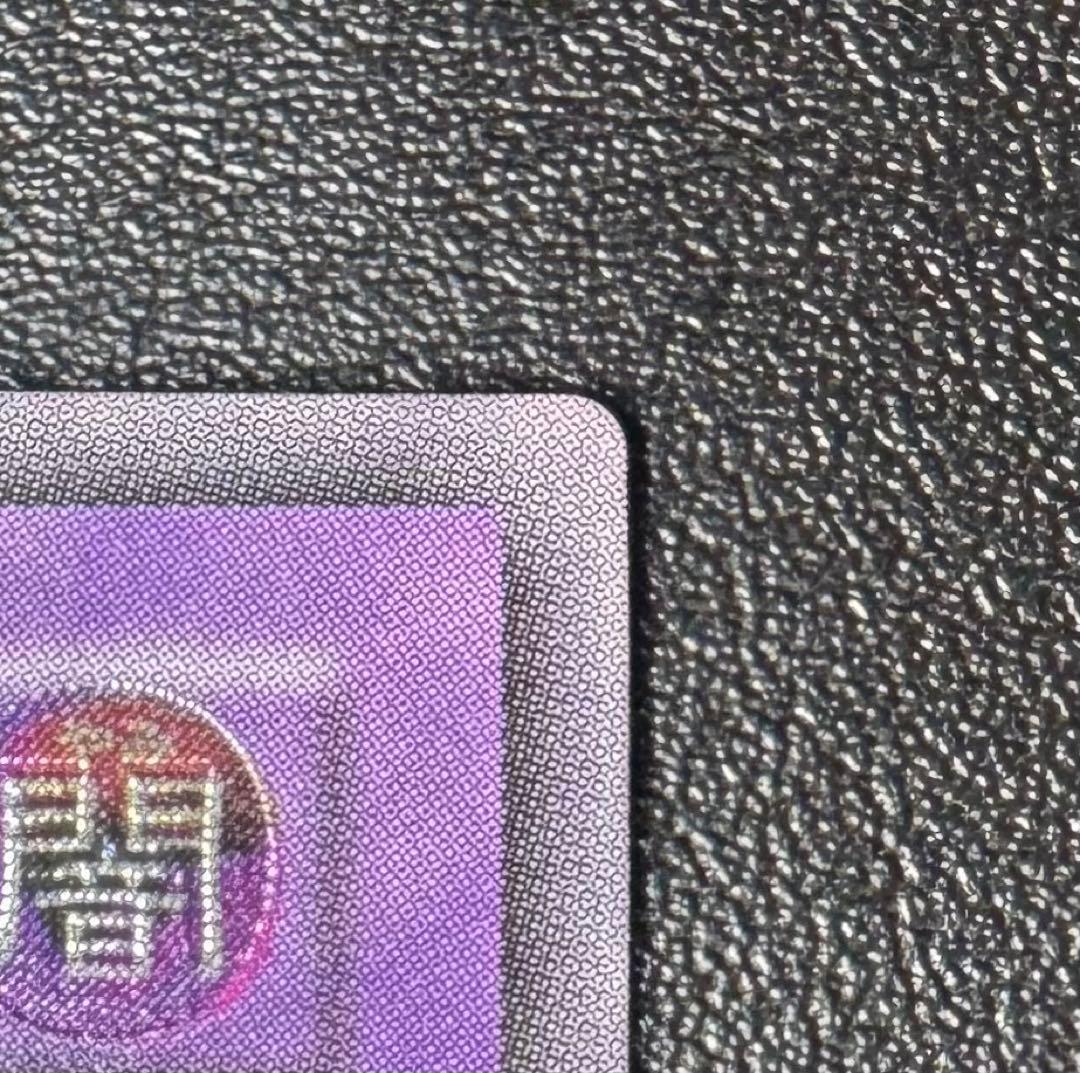 ブラックデーモンズドラゴン/ドラゴン族/ 遊戯王カード/レリーフ