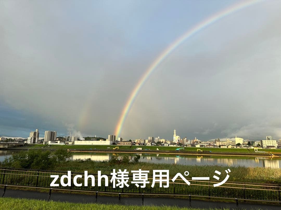 zdchhページ
