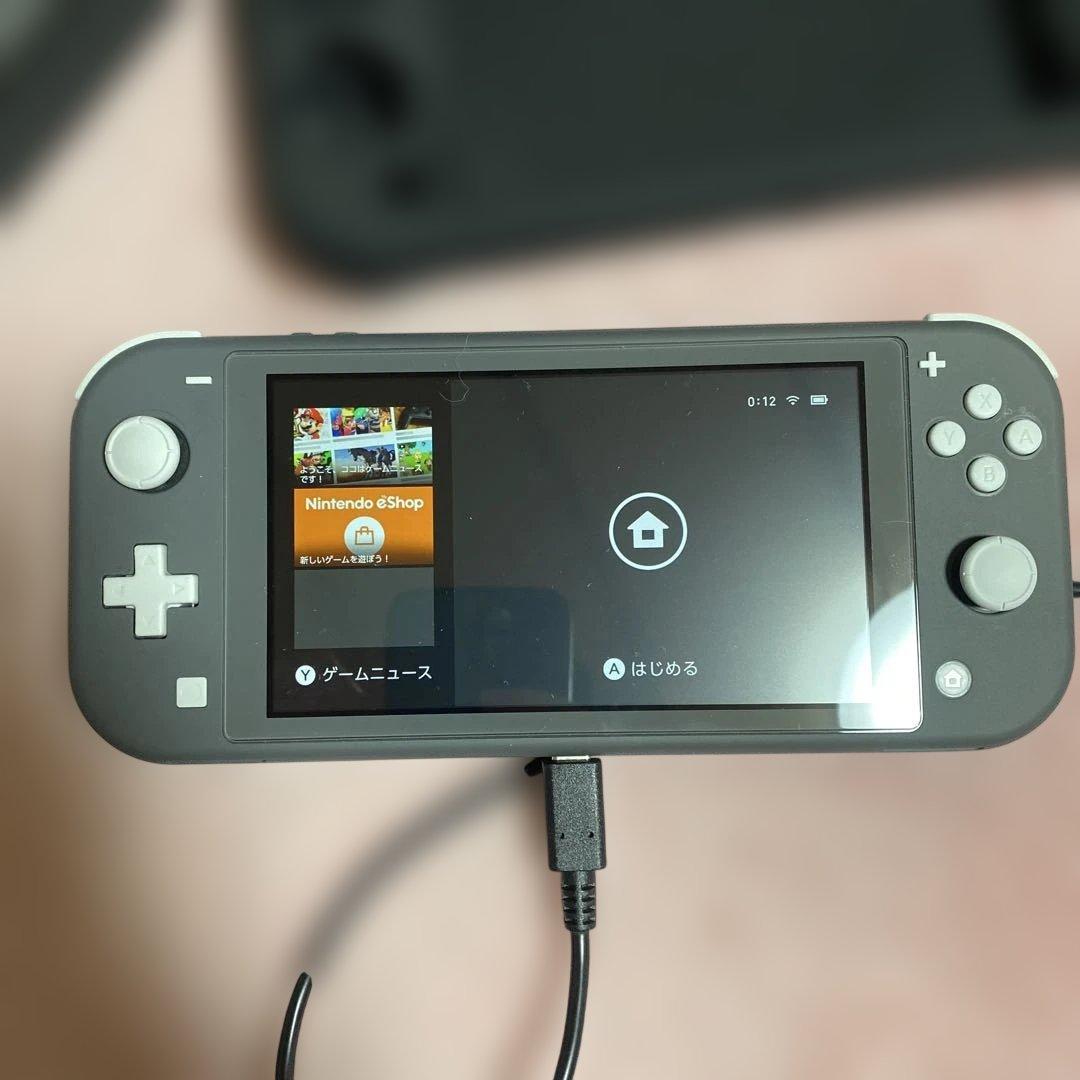 ヒ*ン様 Nintendo Switch Lite グレー 本体 充電器、ケース