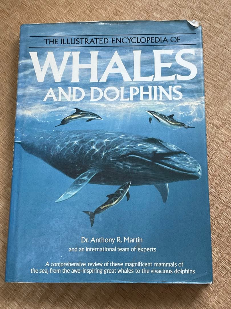 洋書　貴重！クジラとイルカに関する図鑑　アンソニー・R・マーティン博士