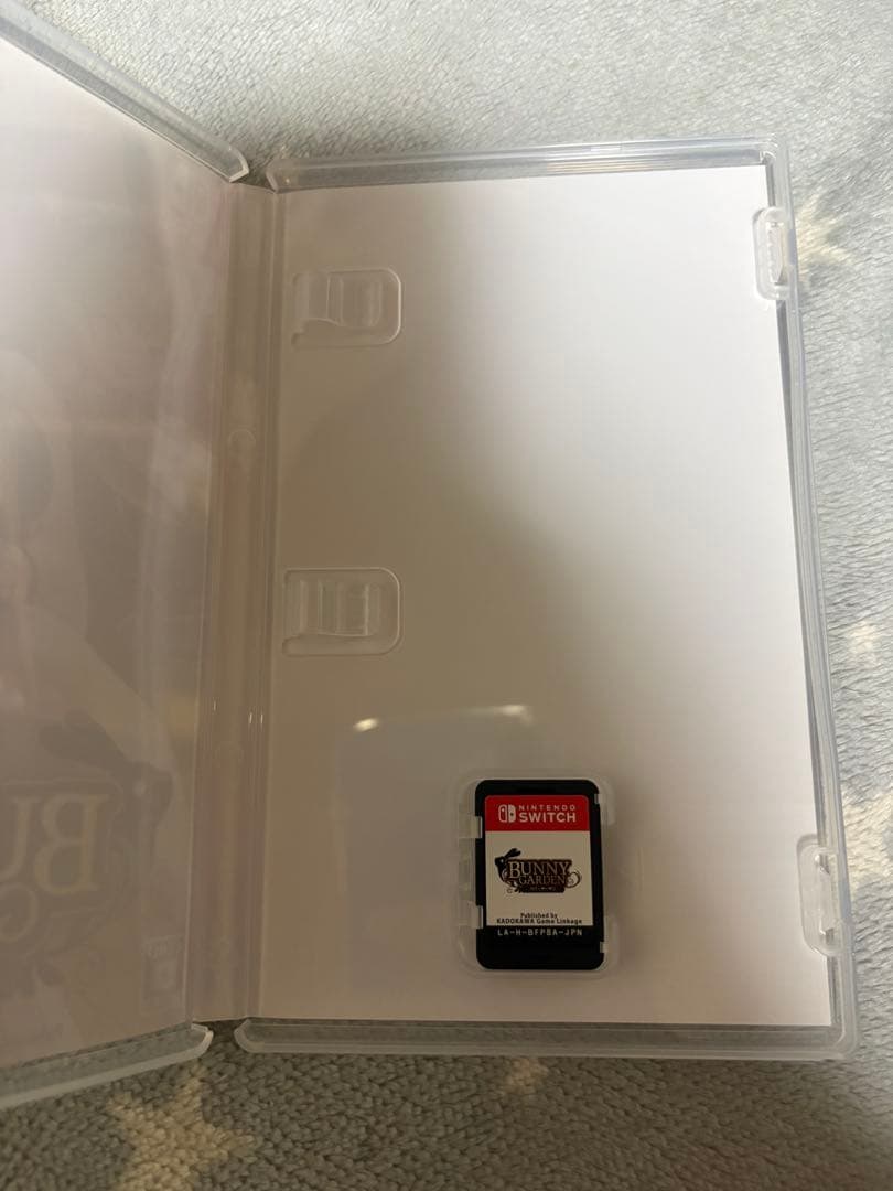 バニーガーデン Nintendo Switch