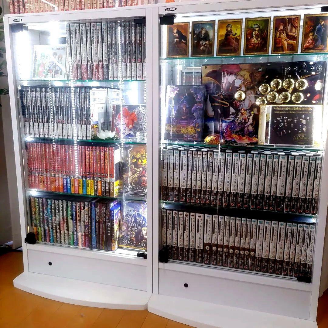 JAJAN コレクションラック レギュラー ロータイプ 幅55cm×奥行19cm