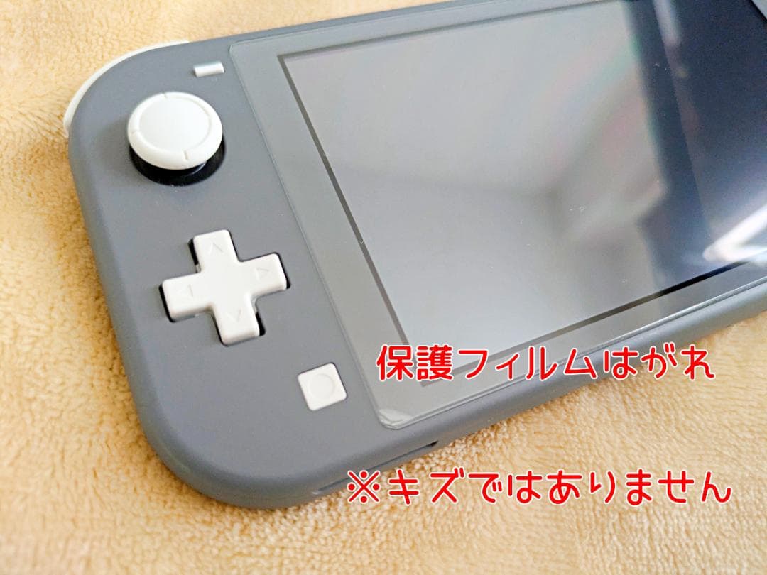 『Nintendo Switch Liteグレー』ケース+128GBメモリカード