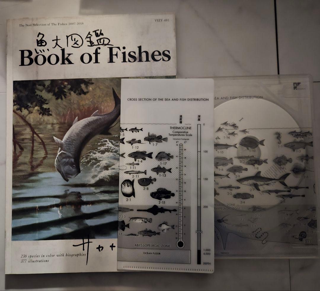 サカナクション 魚大図鑑