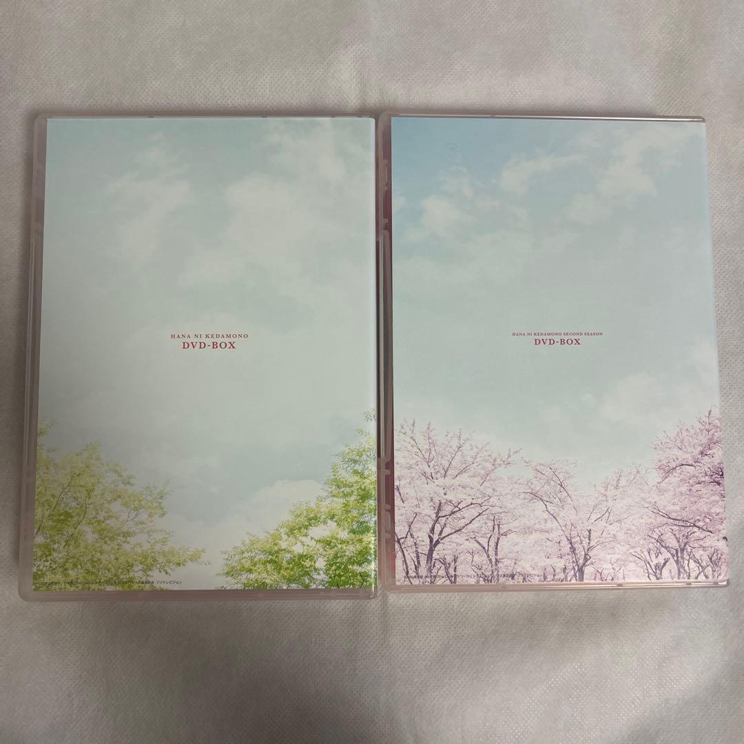 花にけだもの DVD BOX セット