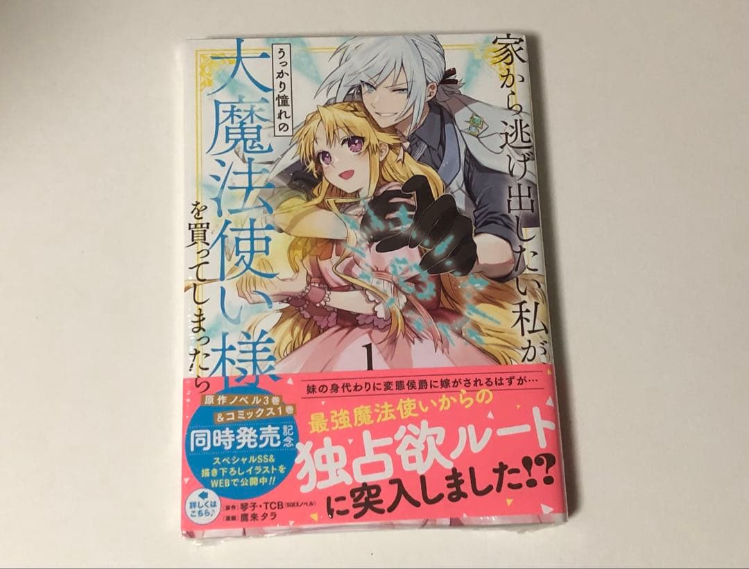 家から逃げ出したい私が、うっかり憧れの大魔法使い様を買ってしまったら　1巻