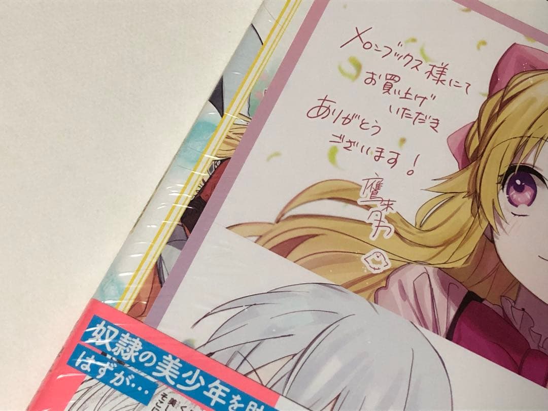 家から逃げ出したい私が、うっかり憧れの大魔法使い様を買ってしまったら　1巻