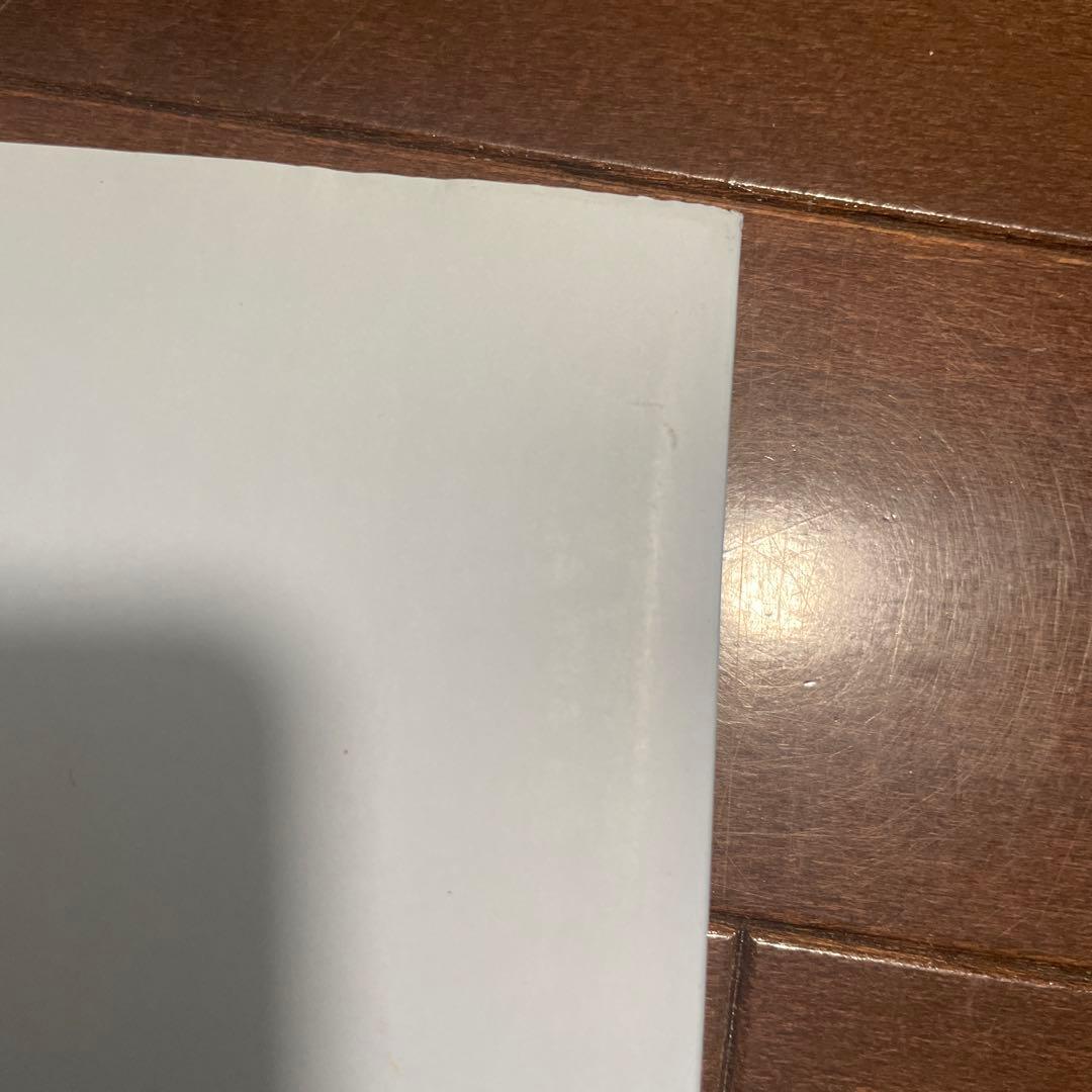 アート・デザイン・音楽 Ryan McGinley Moonmilk