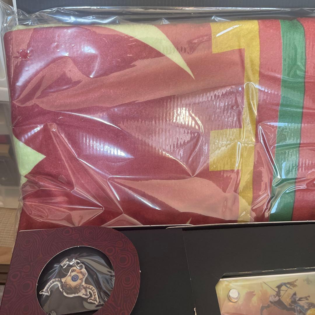 ゼルダ無双 厄災の黙示録 TREASURE BOX 限定版のオプションのみ