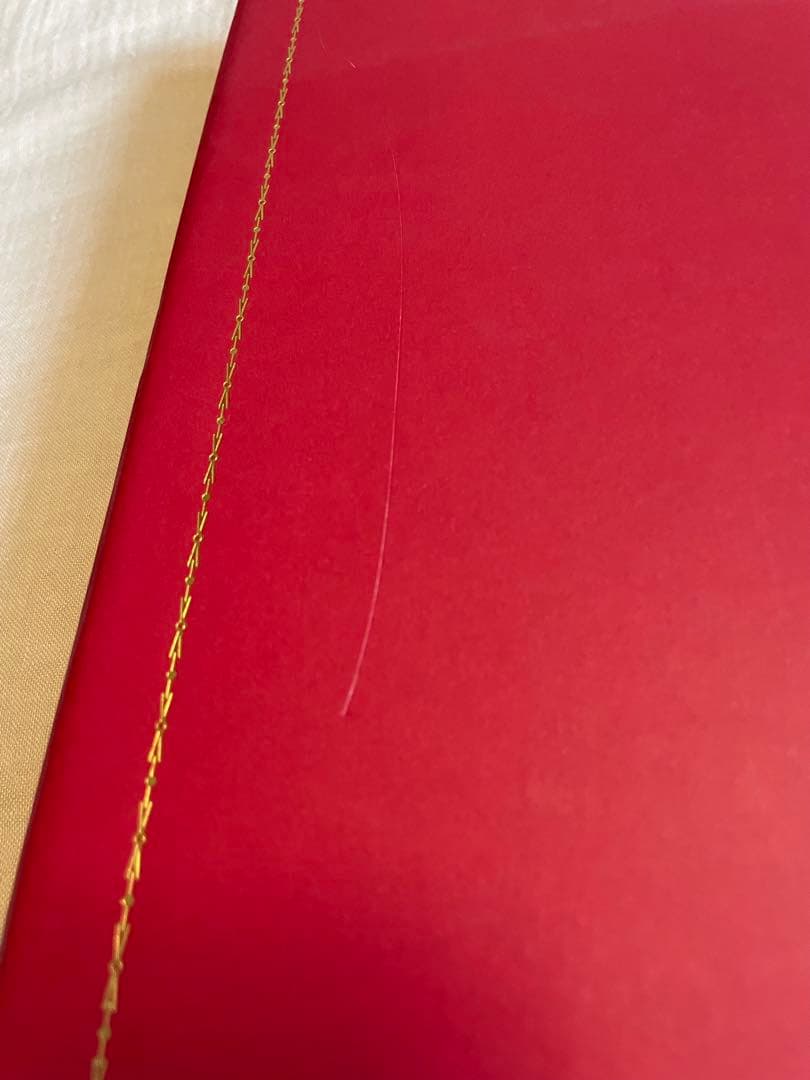 ブルースウェーバー写真集　カルティエ