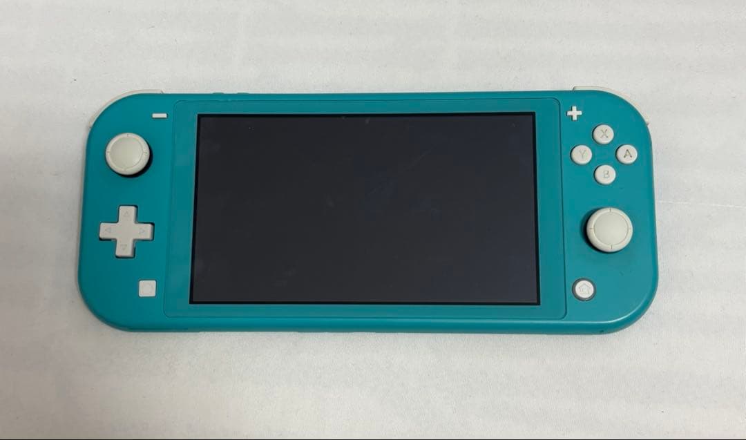 Nintendo Switch Lite ターコイズ 本体　ケース付き