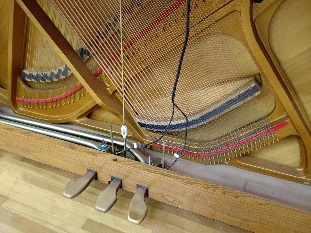 コーラー＆キャンベル【訳あり/消音システム内蔵/未整備現状渡し】