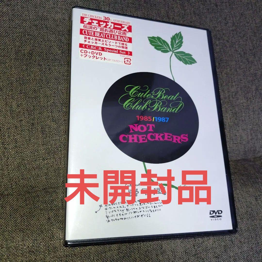 CUTE BEAT CLUB BAND DVD初回限定 チェッカーズ 藤井フミヤ