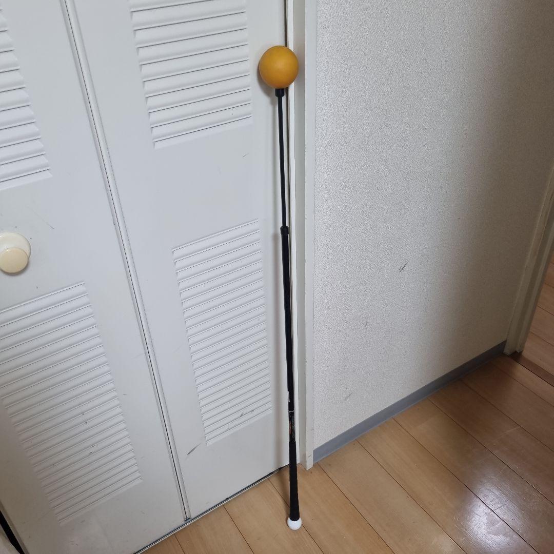 オレンジウィップ