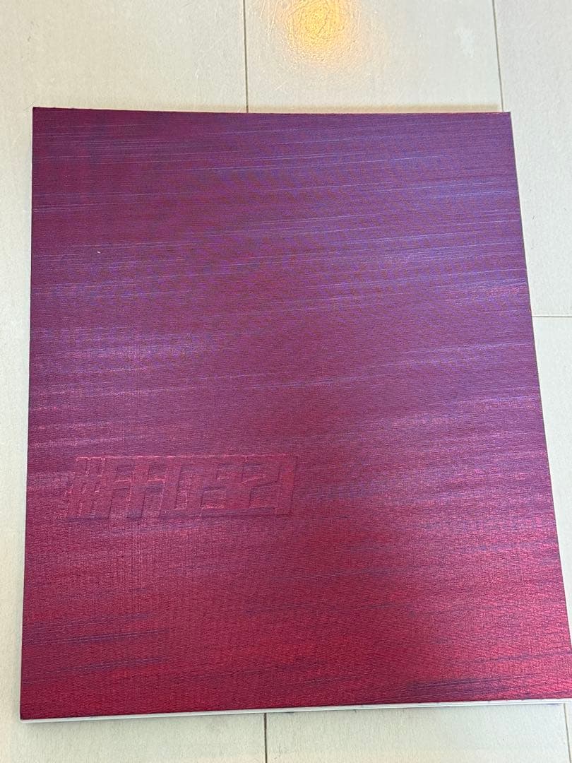 #FF0921 by PIEZOGLYPH アートブック ☆菅田将暉 小松菜奈