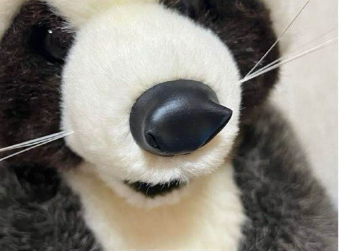 P　ファースト社 アライグマ ぬいぐるみ WOODY CHAPMAN