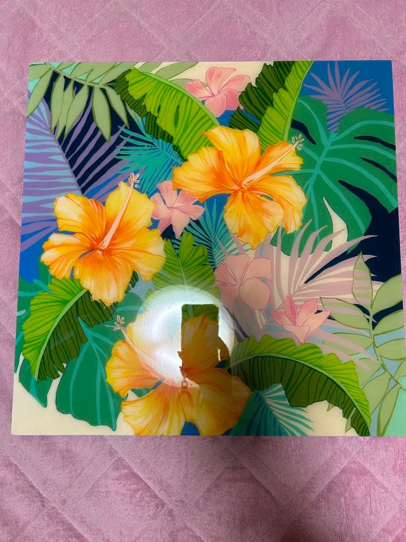 Lauren Roth オリジナル原画