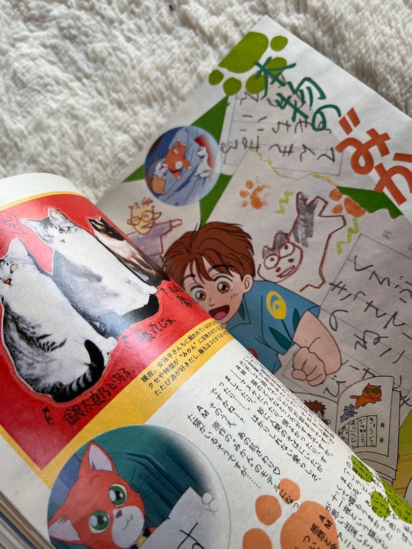 アニメージュ 1993年1月　VOL.175 海がきこえる　ジブリ　セラームーン