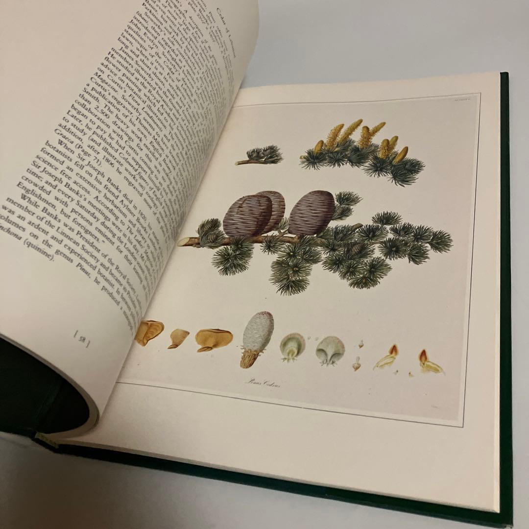 洋書　植物画　PLANTS