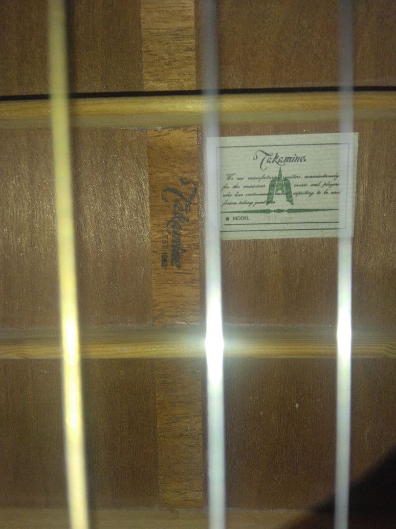 タカミネギター