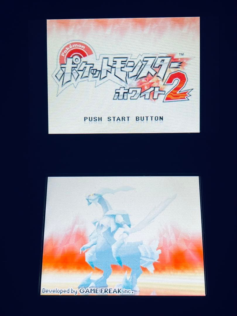 ポケットモンスター ブラック2&ホワイト2 セット