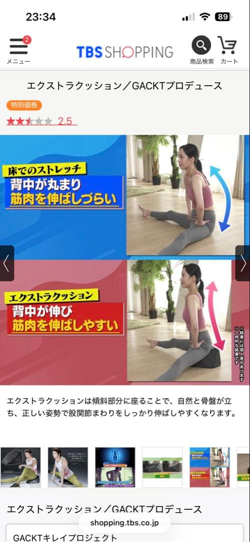 EXTRA CUSHION エクストラクッション GACKTプロデュース