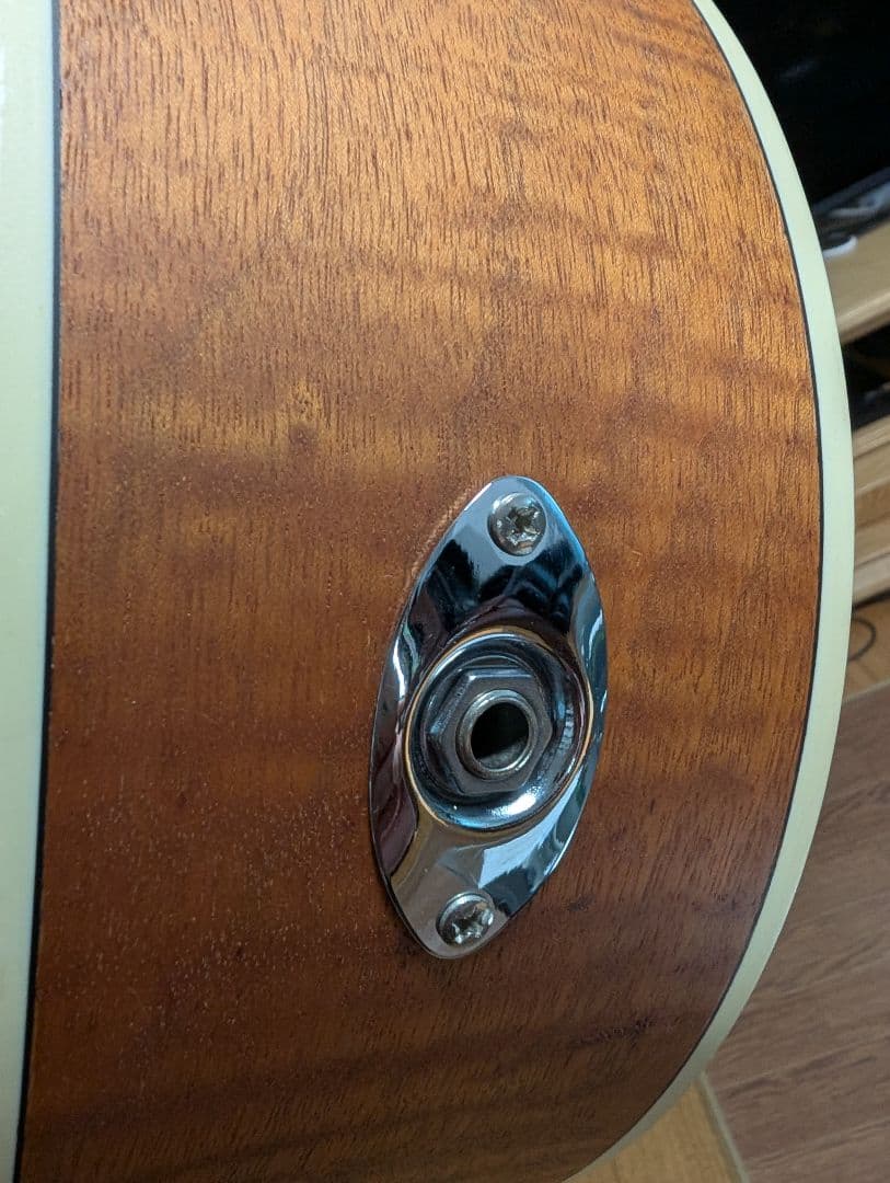 camille◆SX エスエックス アコースティック リゾネーターギター