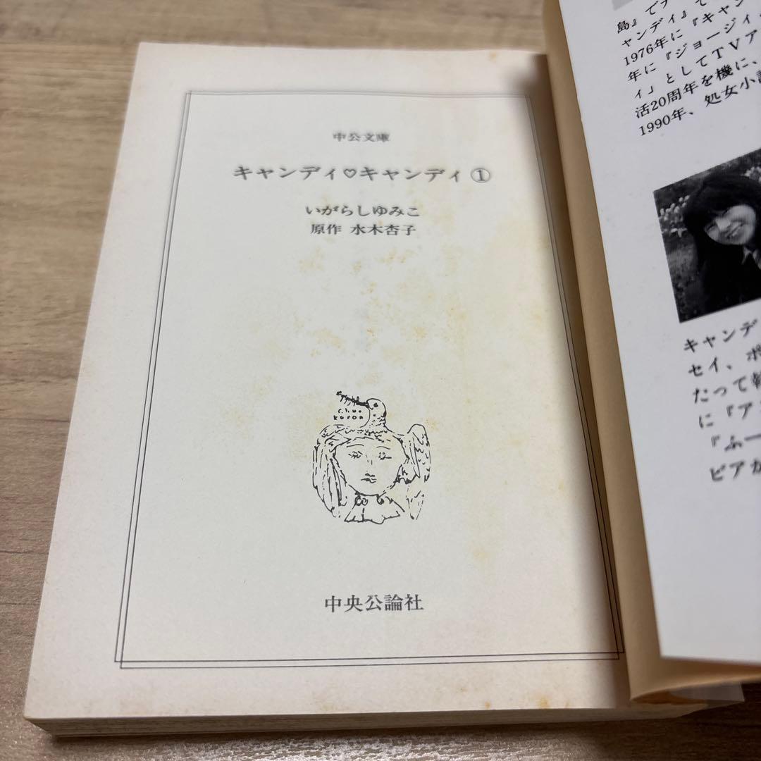 も*み様 キャンディキャンディ　文庫版　全巻セット　箱入り　いがらしゆみこ