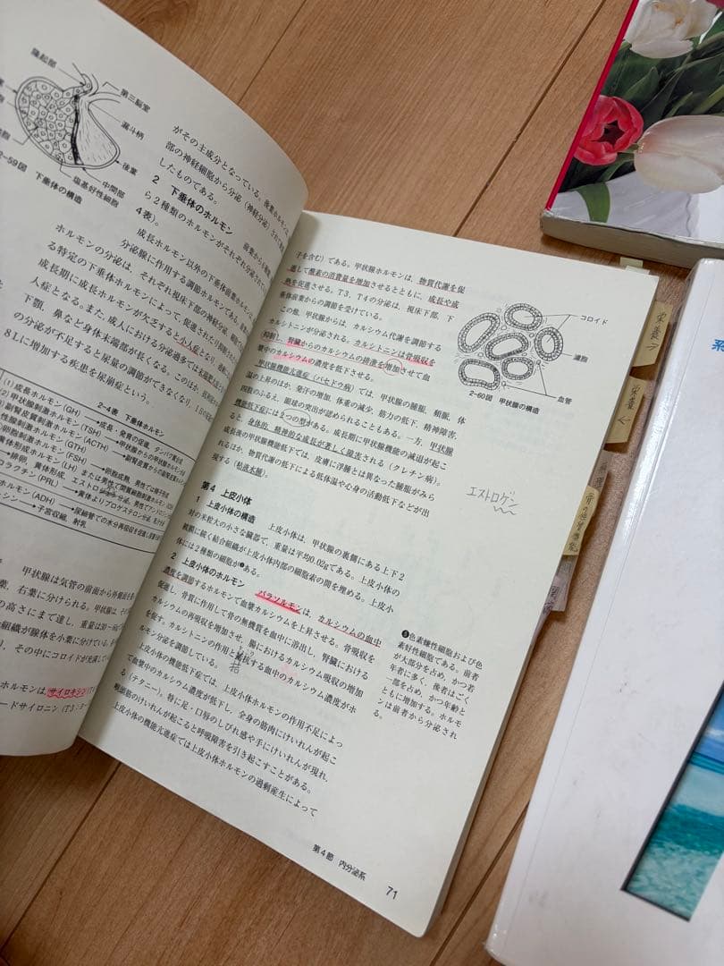 看護 学生 教科書 12冊 まとめ売り セット (まとめノート付き)