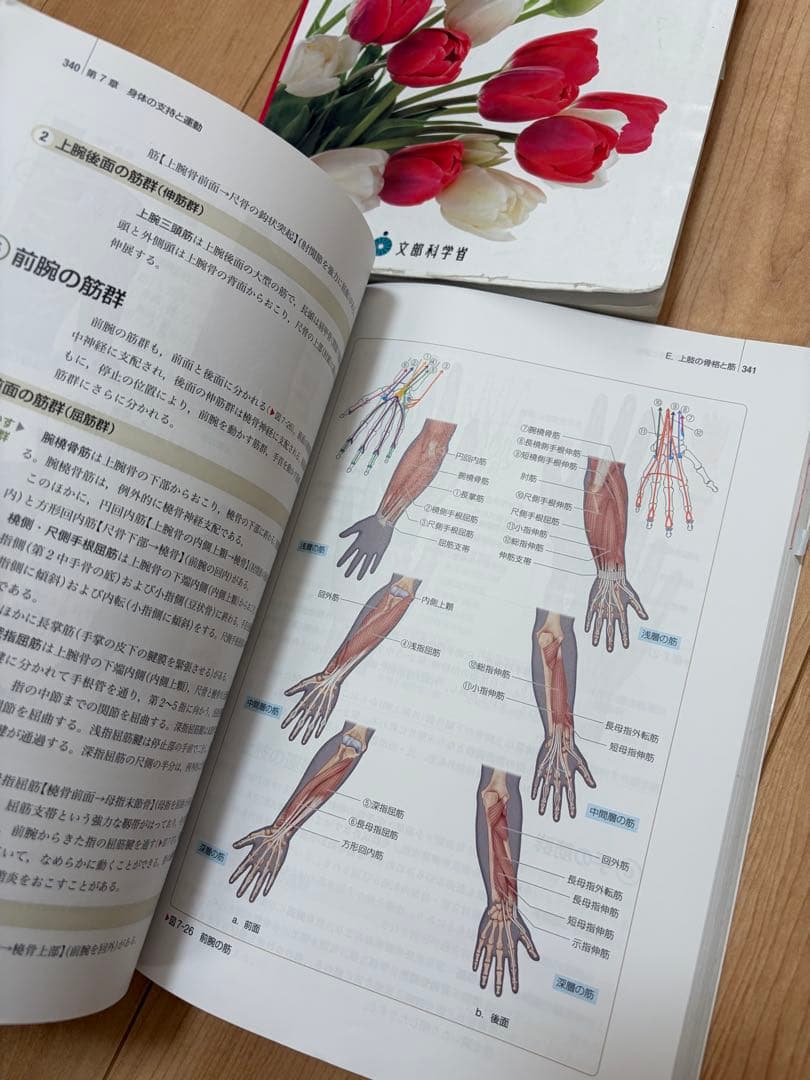 看護 学生 教科書 12冊 まとめ売り セット (まとめノート付き)