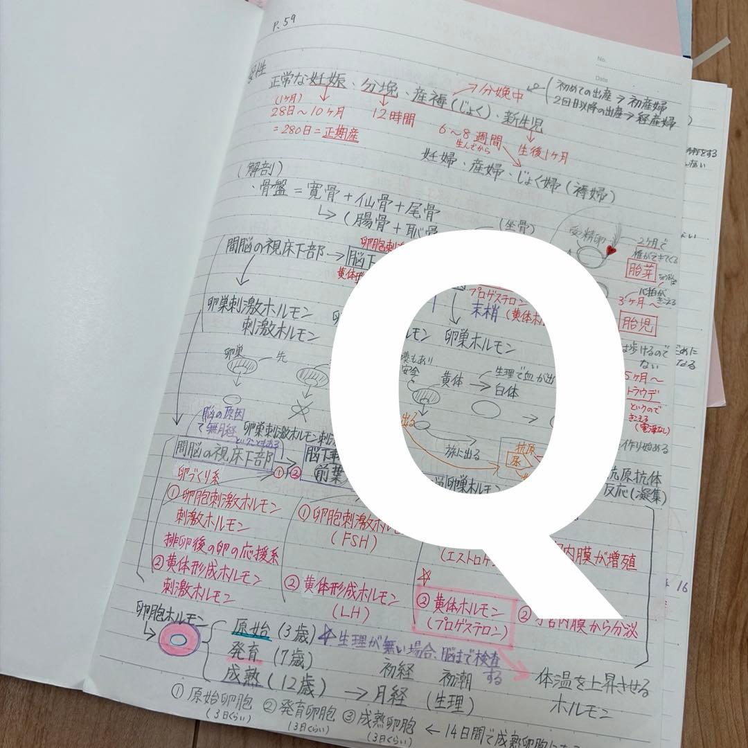 看護 学生 教科書 12冊 まとめ売り セット (まとめノート付き)
