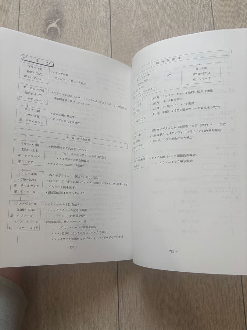 代々木ゼミナール　受験世界史最後の救世主 2025 代ゼミ　世界史　佐藤幸雄