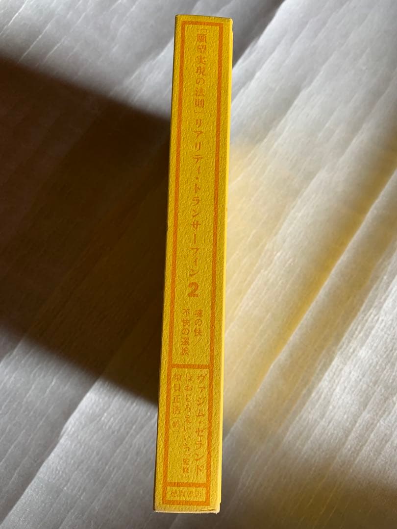 リアリティ・トランサーフィン 2 願望実現の法則