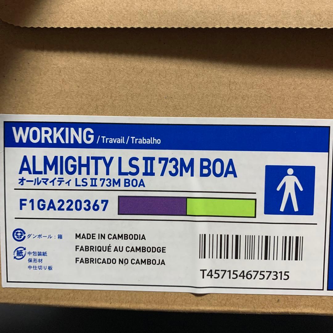 希少 新品未使用　ミズノ限定　安全靴