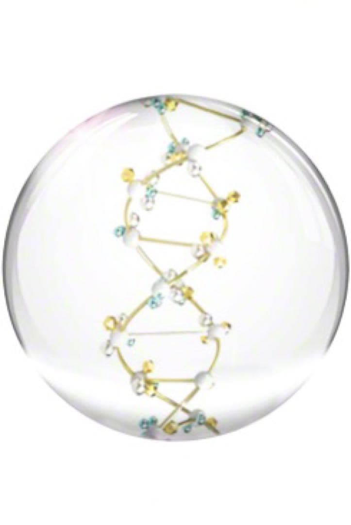 ヴァルモン エリクシール デグラシエ ヴィサージュ （美容液）30ml日本未発売