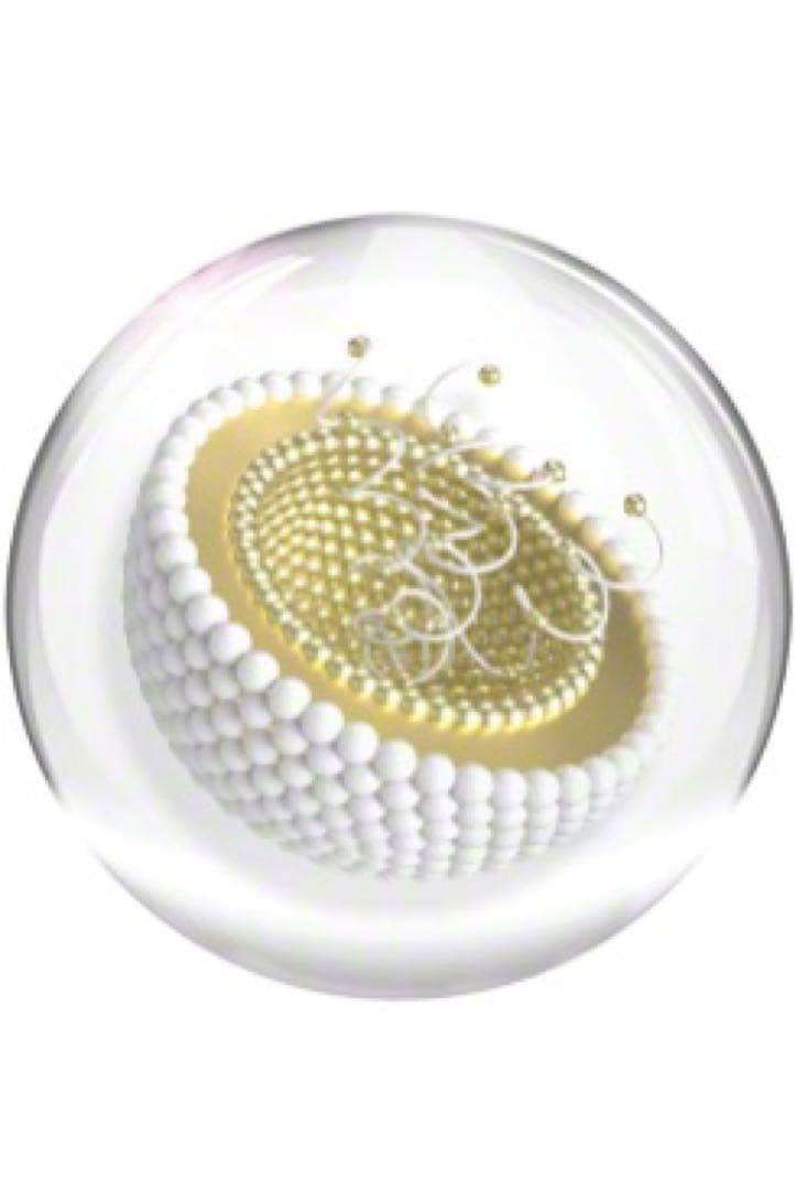 ヴァルモン エリクシール デグラシエ ヴィサージュ （美容液）30ml日本未発売