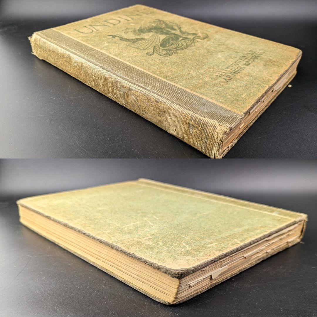 希少な初版 アーサー・ラッカム挿画本『ウンディーネ』1909年 全図15枚揃い