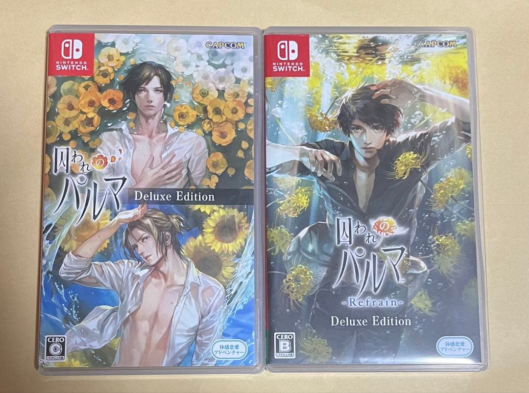 switch 囚われのパルマ 2本セット 動作確認済