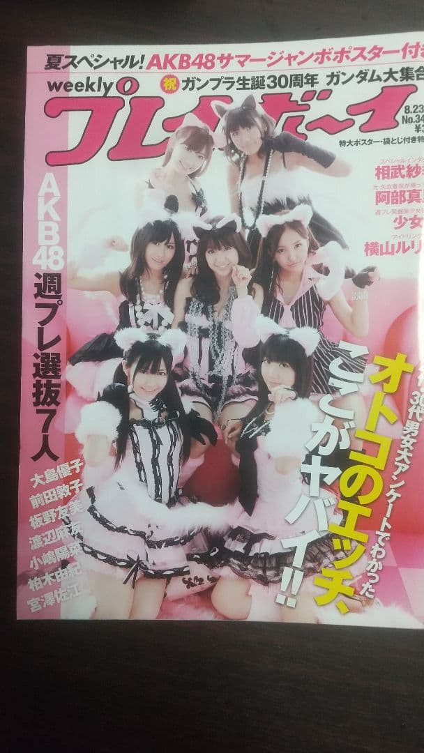 プレイボーイ 表紙 AKB48