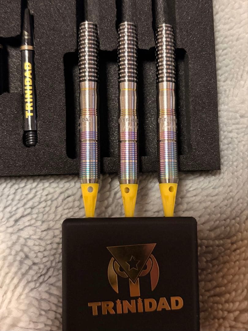 ヒューゴリョン　hugotype2