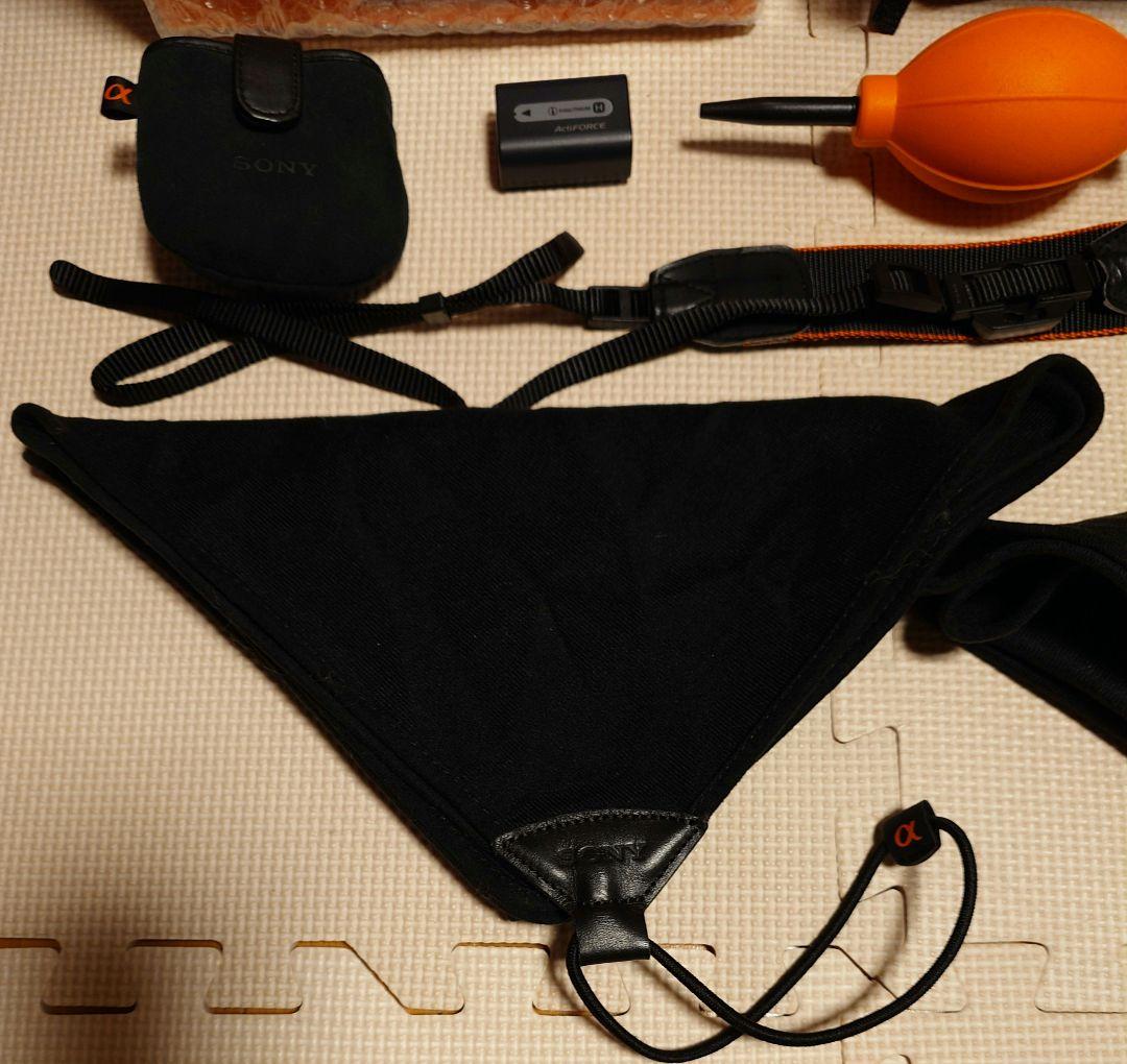 ソニー SONY α230 望遠ダブルズームレンズセット