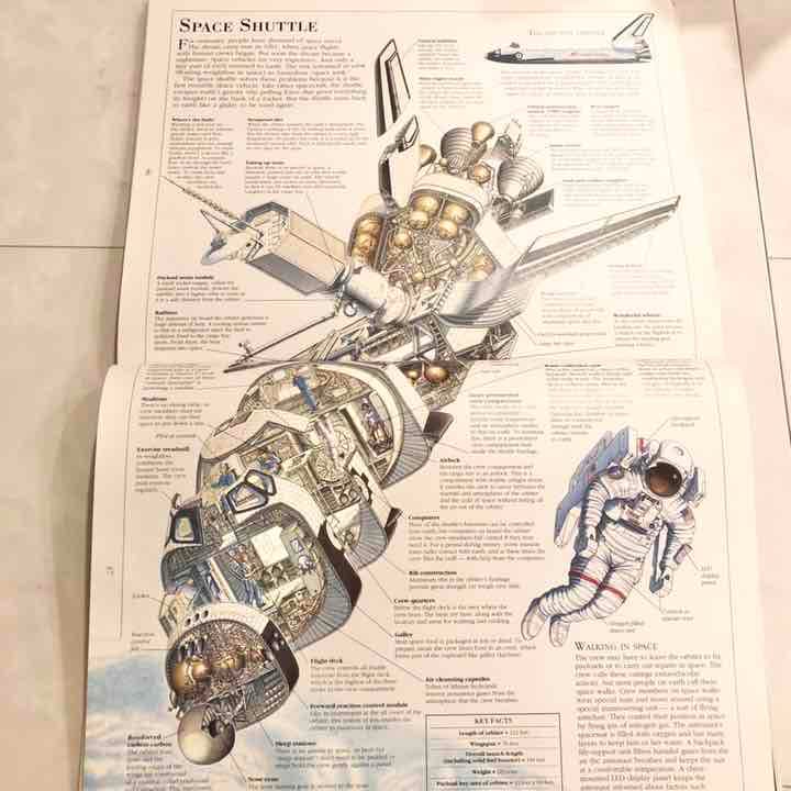 海外製絵本 知育  図鑑 Incredible Cross-Sections 本