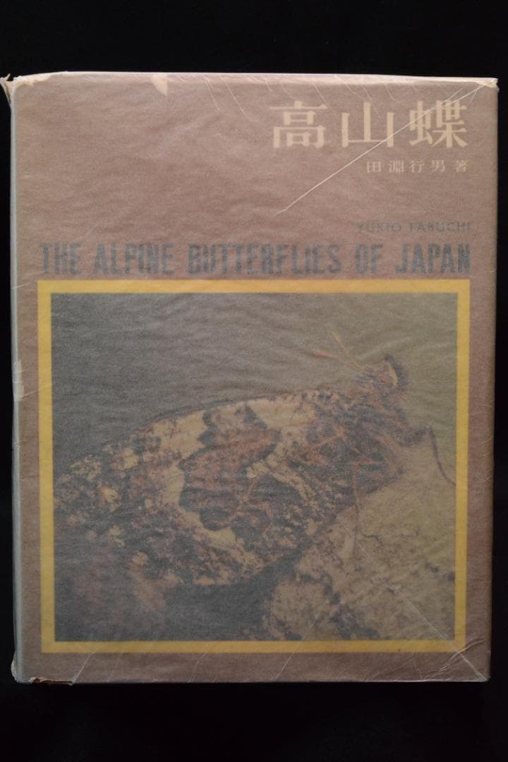 田淵行男 写真集【高山蝶】　昭和34年　初版発行