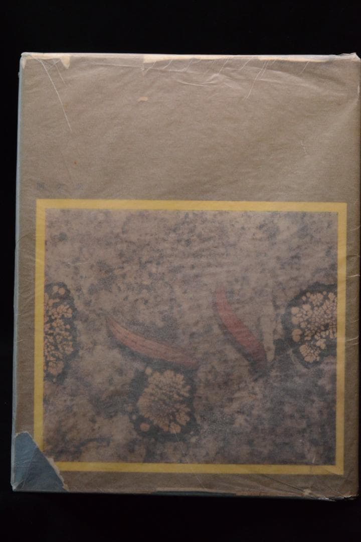 田淵行男 写真集【高山蝶】　昭和34年　初版発行