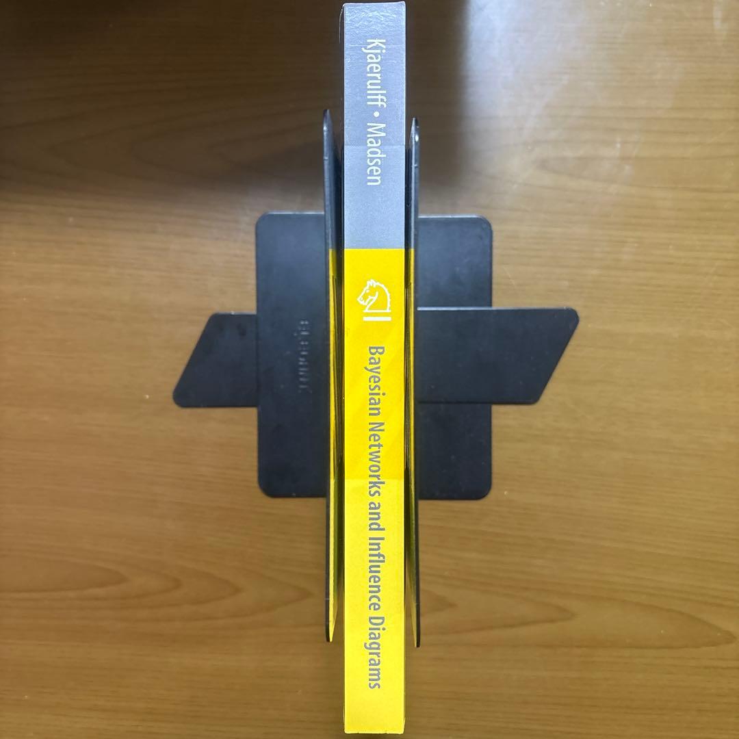 Bayesian Networks 専門書【洋書美品】