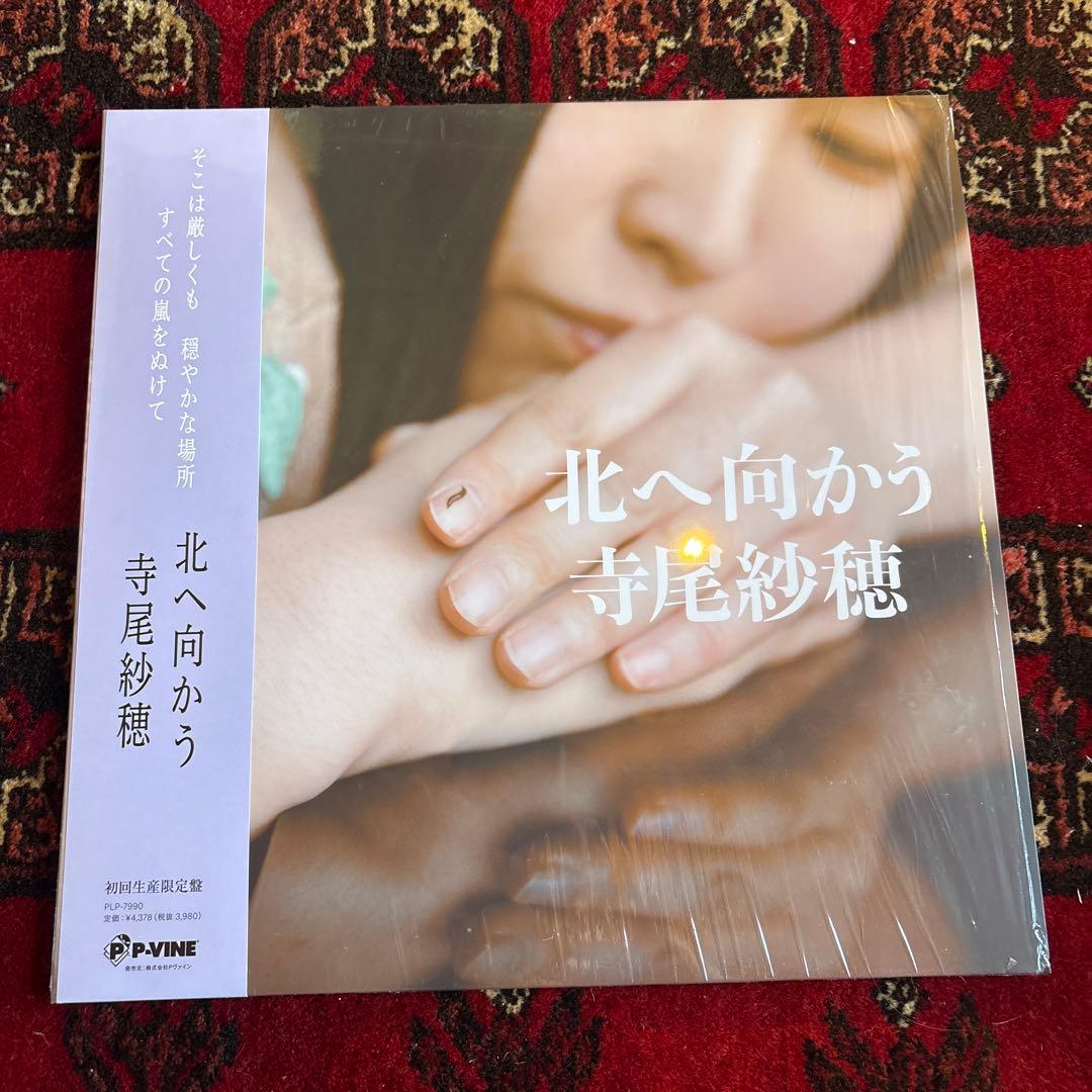 寺尾紗穂　北へ向かう　レコード