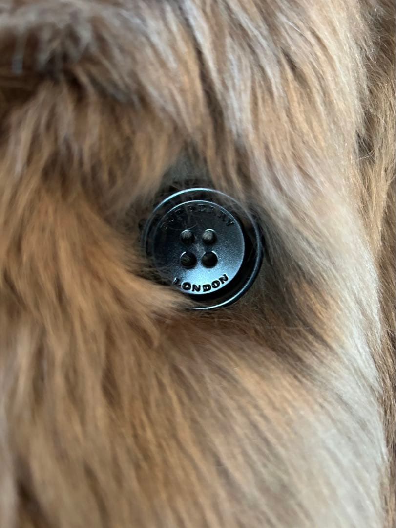 レディース：ショートファーコート☆BURBERRY☆