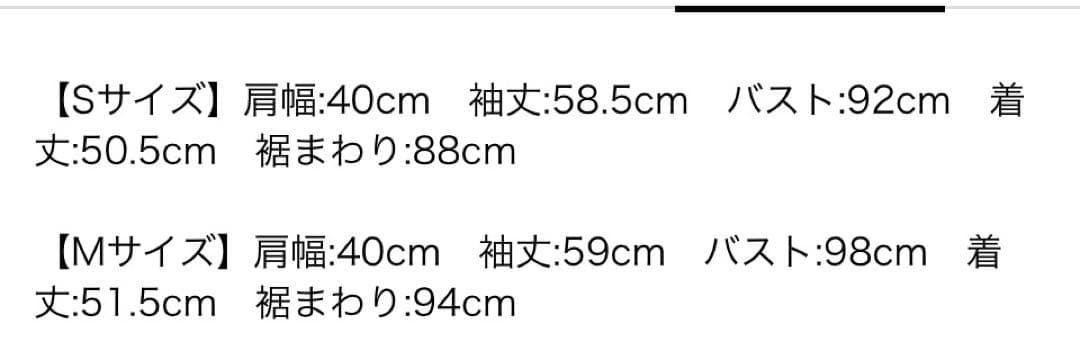 2025SS アプワイザーリッシェ　コンパクトライトGジャン M 現行品