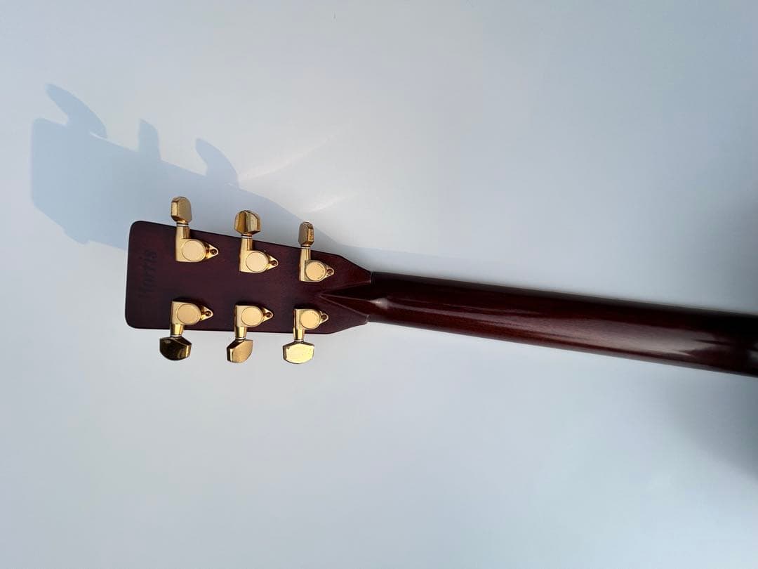 Morris TF-50アコースティックギター